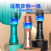 The new private model microphone Q99 KTV Treasure Live streaming microphone Bluetooth microphone is a Bluetooth speaker for karaoke for all details Picture